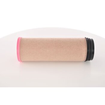 BOSCH Sekundärluftfilter F 026 400 210 - F026400210...