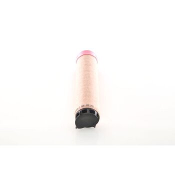BOSCH Sekundärluftfilter F 026 400 241 - F026400241...