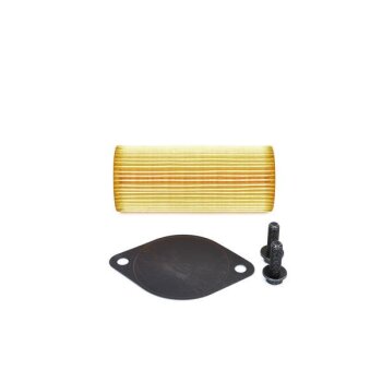 BOSCH Hydraulikfilter, Automatikgetriebe F 026 404 004 -...