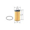 BOSCH Ölfilter F 026 407 207 - F026407207 passend für 68032 204AA
