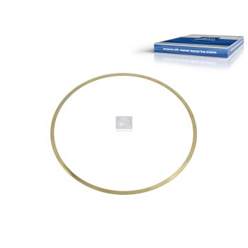 DT Dichtung, Zylinderlaufbuchse 1.10133 - 110133 passend...