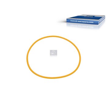 DT Dichtring 1.10570 - 110570 passend für 1302243
