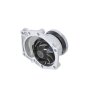DT Wasserpumpe, Motorkühlung 1.11117 - 111117 passend für 10570953