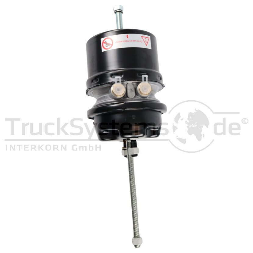 DT Spare Parts Federspeicherbremszylinder 1.18055 - 118055 für 74 20 533 196