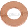 DT Dichtung, Kraftstoffpumpe 1.24025 - 124025 passend...