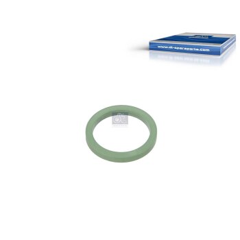 DT Dichtring, Düsenhalter 1.24026 - 124026 passend...