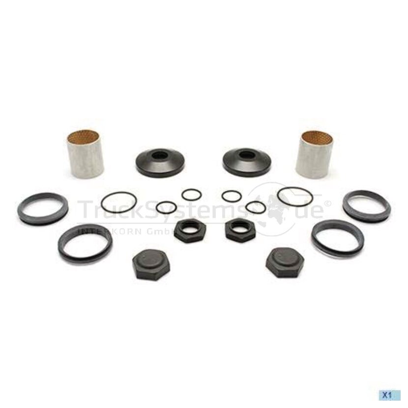 DT Reparatursatz, Umlenkhebel 1.31973 - 131973 passend für 1786130 S1