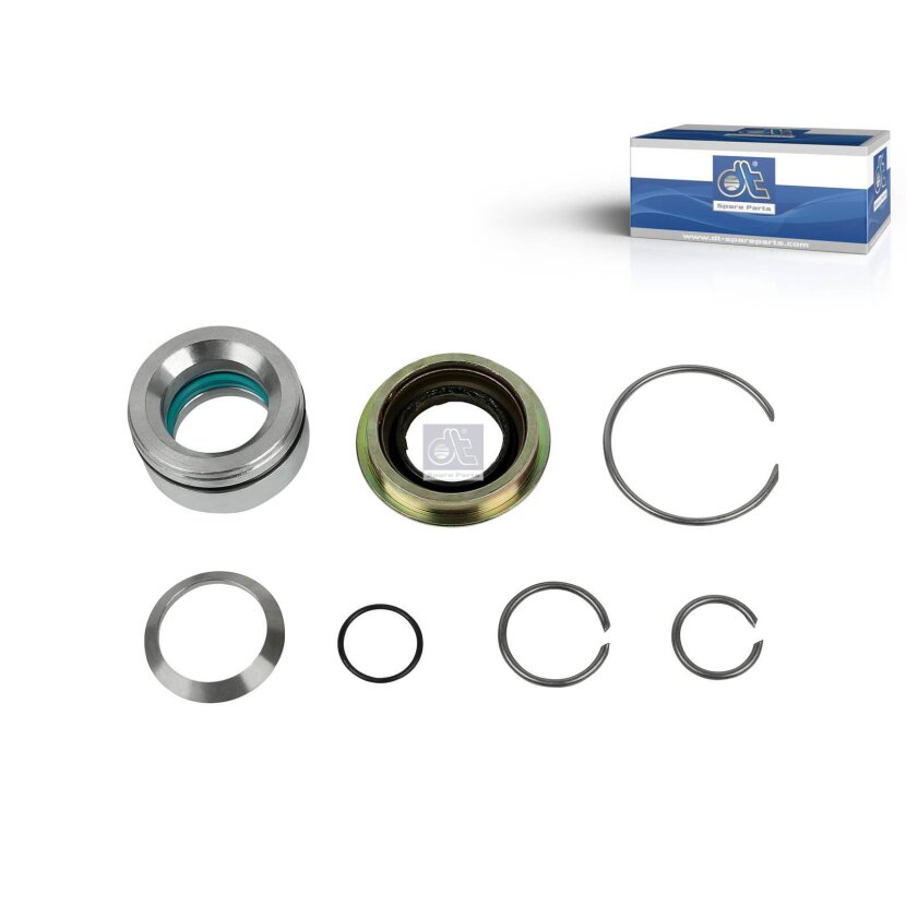 DT Reparatursatz, Kippzylinder 1.32309 - 132309 passend für 1541977