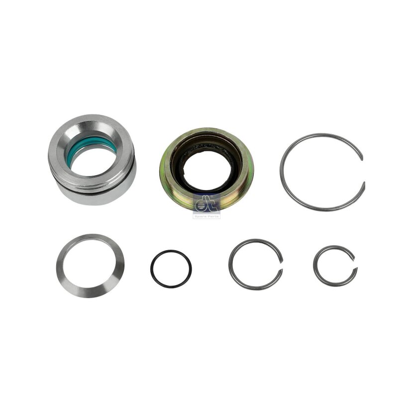 DT Reparatursatz, Kippzylinder 1.32309 - 132309 passend für 1541977