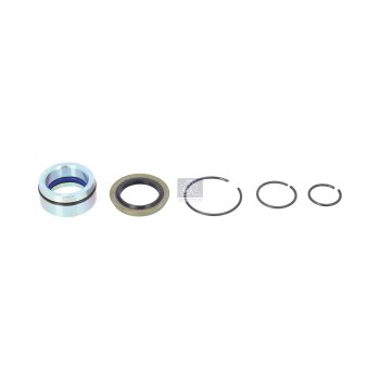 DT Reparatursatz, Kippzylinder 1.32317 - 132317 passend...