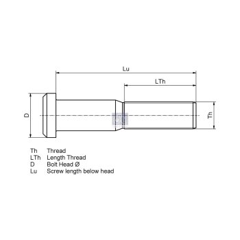 DT Radbolzen 10.10082 - 1010082 passend für 0980633670