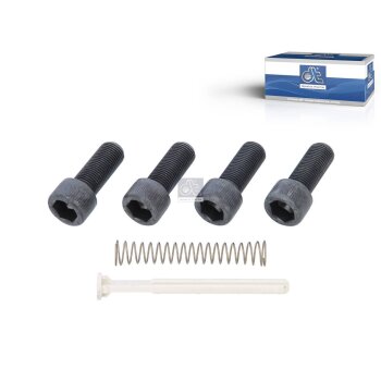 DT Reparatursatz, Bremssattel 10.24330 - 1024330 passend...