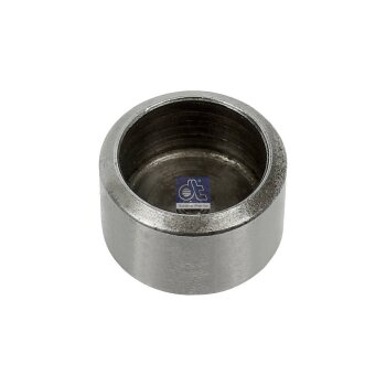 DT Ventilkappe 2.10000 - 210000 passend für 417133