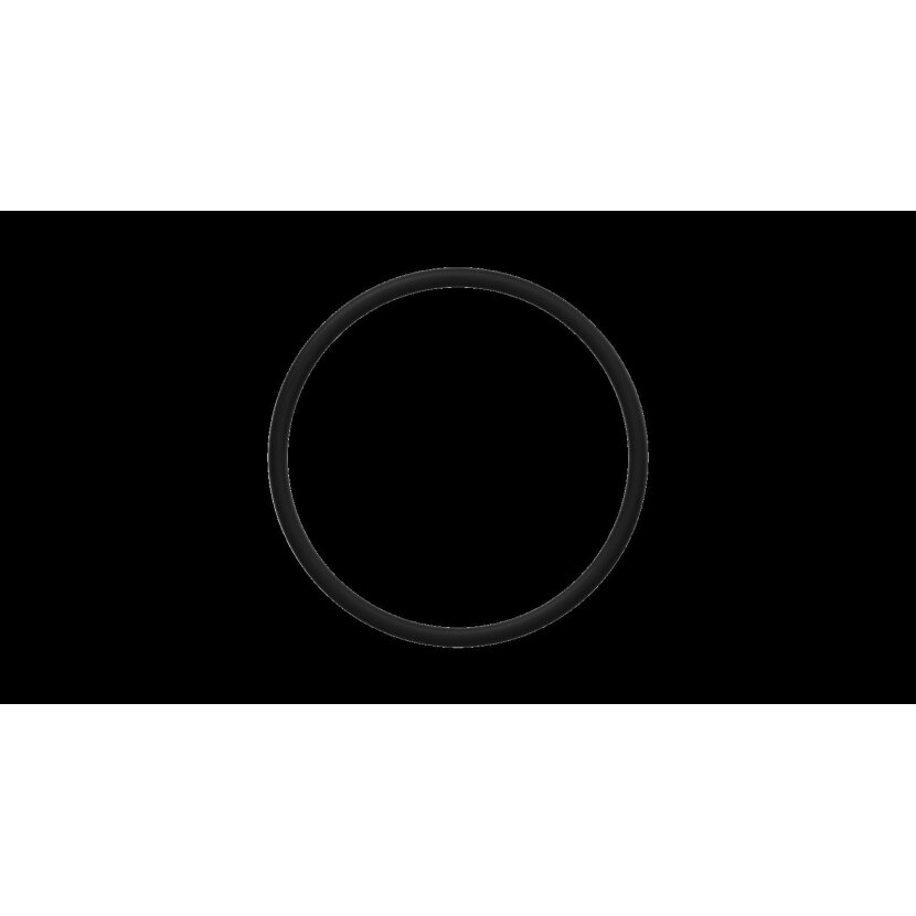 Wabco O-Ring 8970707804 - 897 070 780 4
