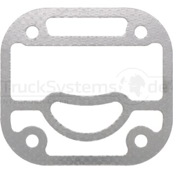 Wabco Dichtung 8973169724 - 897 316 972 4