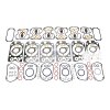 DT Dichtungsvollsatz, Motor 2.91199 - 291199 passend...