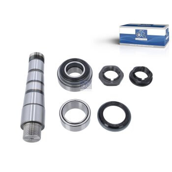 DT Reparatursatz, Achsschenkelbolzen 2.95020 - 295020...