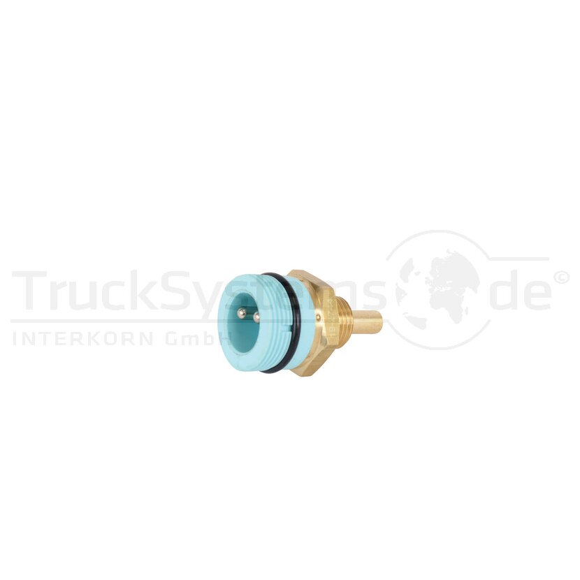 DT Spare Parts Sensor, Kühlmitteltemperatur 3.18200 - 318200 für 910432