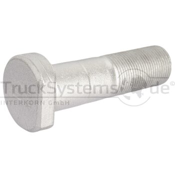 DT Radbolzen 3.61117 - 361117 passend für 81.45501.0174