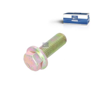 DT Schraube 3.89621 - 389621 passend für 06028160913