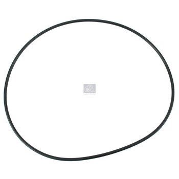 DT Dichtring, Radnabe-Planetengetriebe 4.20005 - 420005...