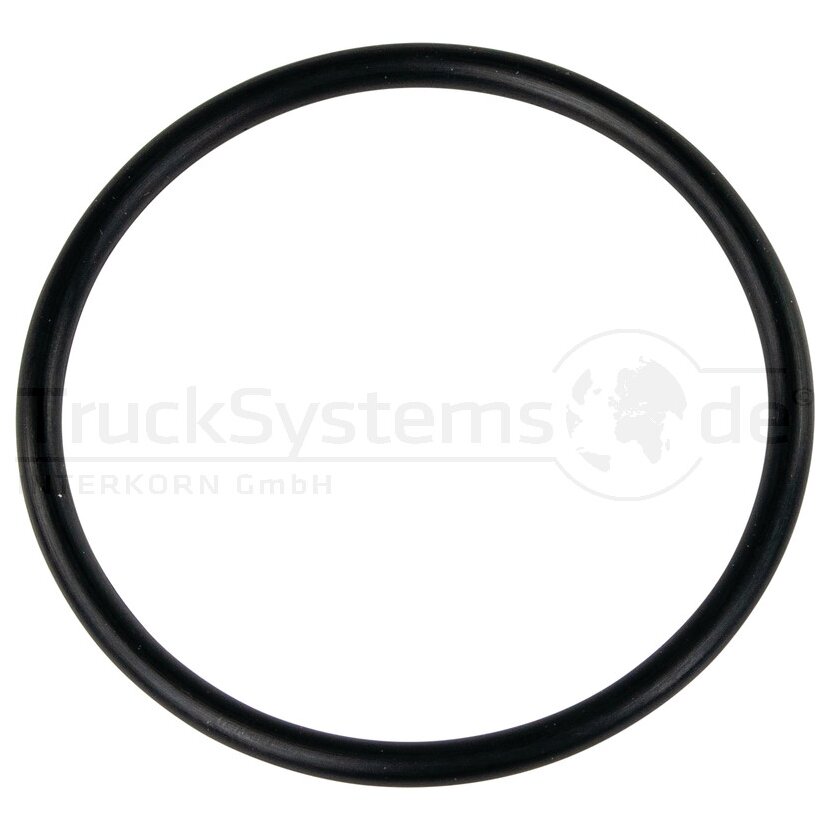DT Spare Parts Dichtung, Wasserpumpe 4.20023 - 420023 für 0116 6088