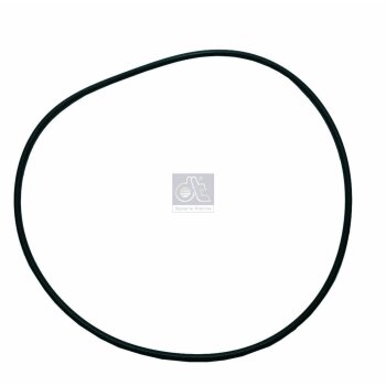 DT Dichtring, Radnabe-Planetengetriebe 4.20393 - 420393...