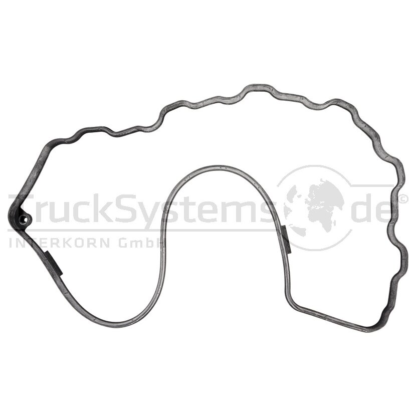 DT Dichtung, Zylinderkopfhaube 4.20500 - 420500 passend für A0000160521