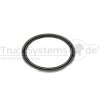 DT Wellendichtring, Differential 4.20513 - 420513 passend...