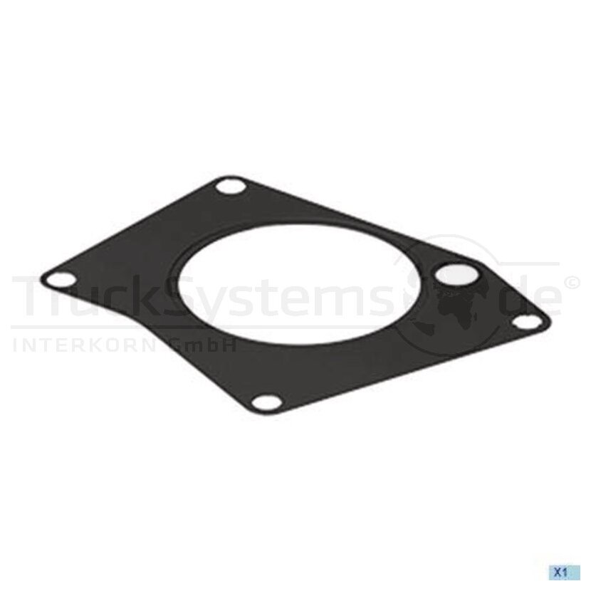 DT Spare Parts Dichtung 4.20690 - 420690 für A4571310180