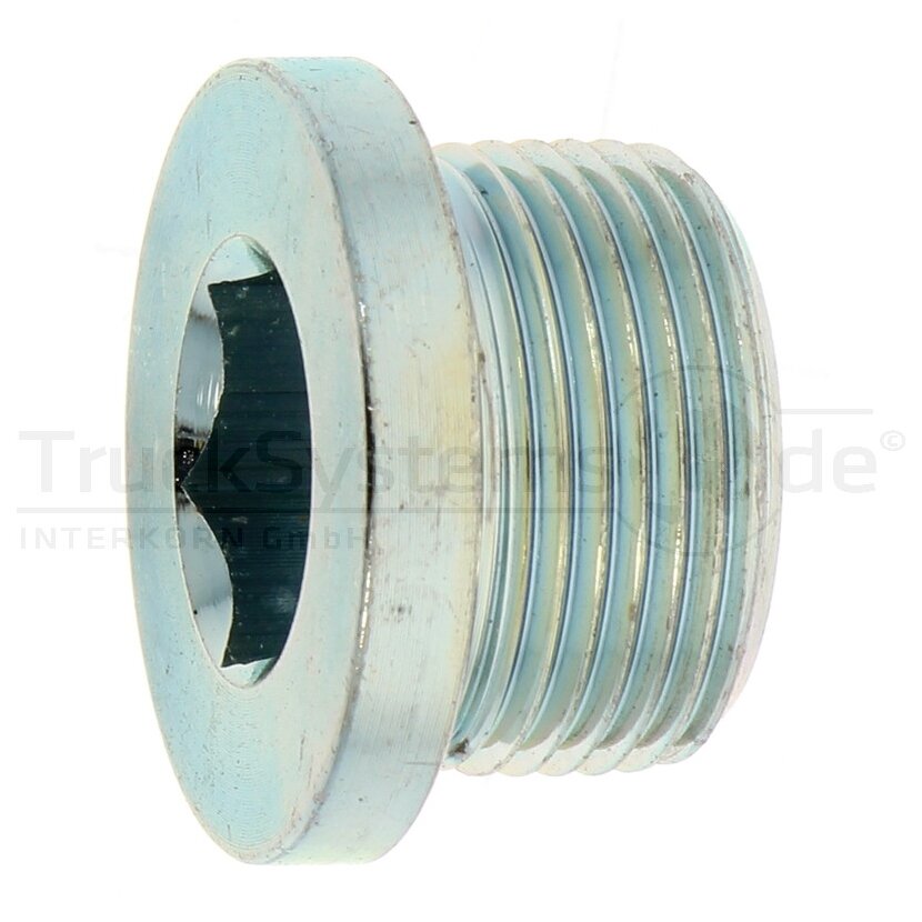 DT Spare Parts Verschlussschraube, Ölwanne 4.30270 - 430270 für 81.90310.0178