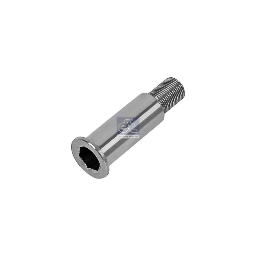 DT Lagerzapfen, Spannrollenhebel 4.40498 - 440498 passend für 606 255 0120