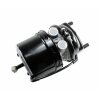 Wabco Tristop Zylinder 9254248310 - 925 424 831 0 passend für 500389003