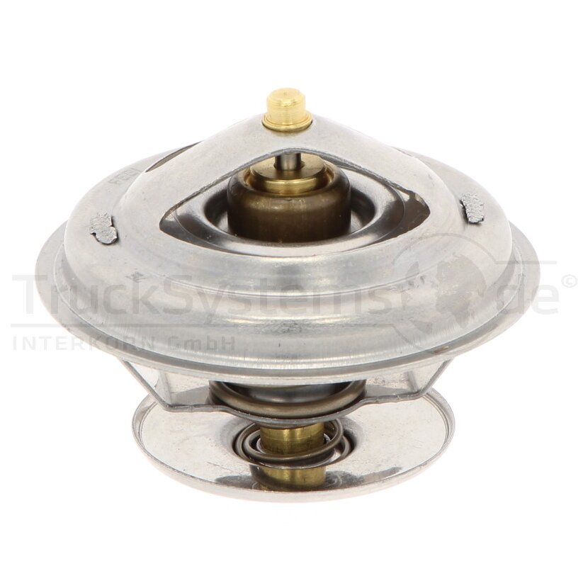 DT Spare Parts Thermostat, Kühlmittel 4.60668 - 460668 für 61673540