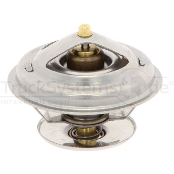 DT Spare Parts Thermostat, Kühlmittel 4.60668 -...