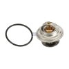 DT Thermostat, K&uuml;hlmittel 4.60669 - 460669 passend...