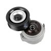 DT Riemenspanner, Keilrippenriemen 4.63769 - 463769...