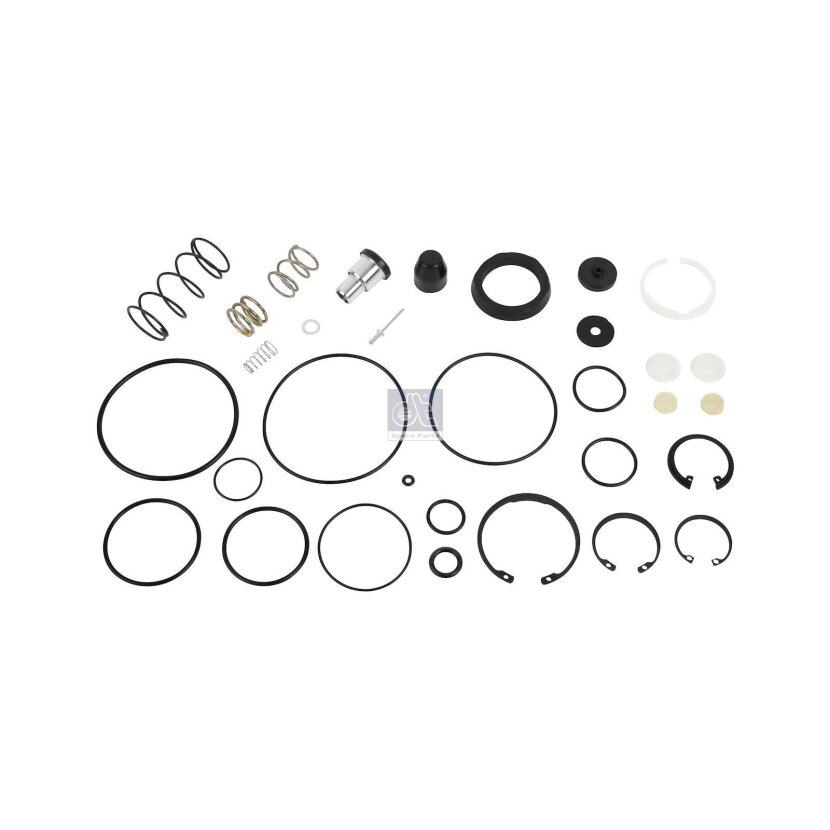 DT Spare Parts Reparatursatz 4.90668 - 490668 für 1506474