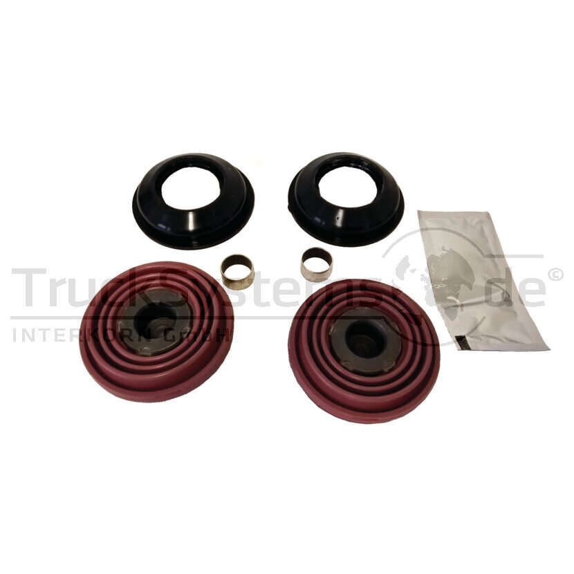 DT Reparatursatz, Bremssattel 4.91120 - 491120 passend für 81508226022