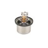 DT Thermostat, K&uuml;hlmittel 5.41021 - 541021 passend...