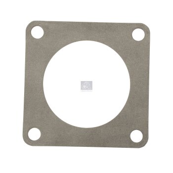 DT Dichtung, Thermostat 5.41031 - 541031 passend für...