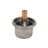 DT Spare Parts Thermostat, K&uuml;hlmittel 5.41091 -...