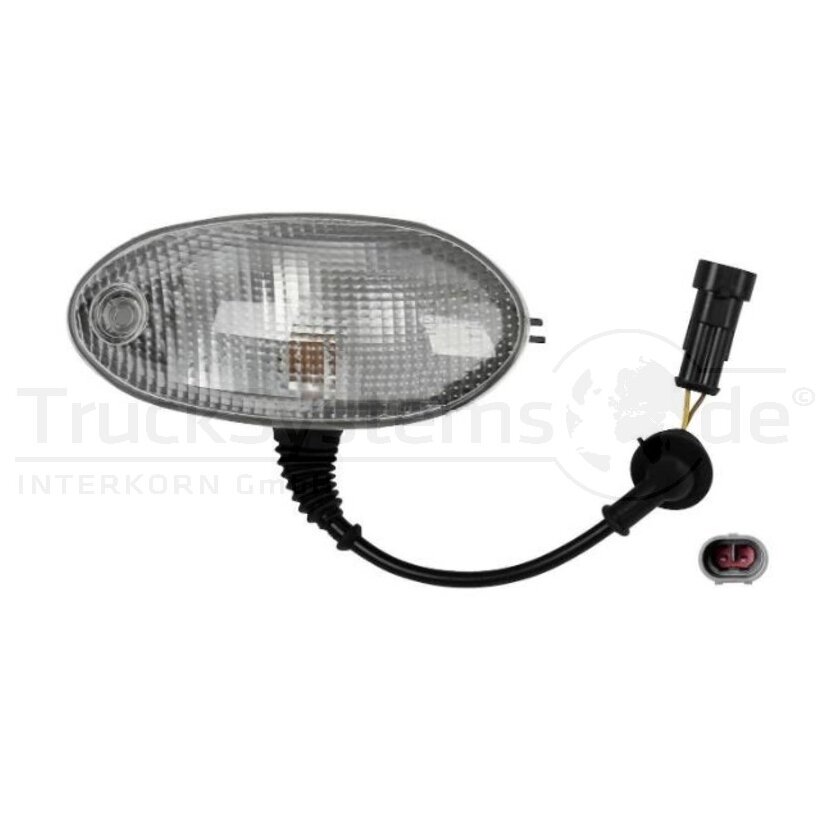DT Spare Parts Seitenmarkierungsleuchte 7.25299 - 725299 für 504074031