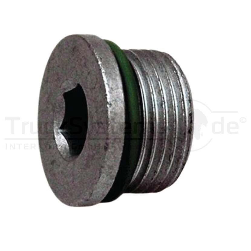 DT Spare Parts Verschlussschraube 7.32210 - 732210 für 17917115