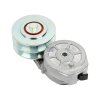 DT Riemenspanner, Keilrippenriemen 7.54713 - 754713...