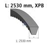 DT Keilriemen 7.54860 - 754860 passend für 5006202480