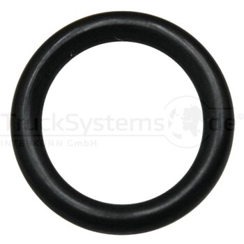 VVP 10 O- Ring set DKOL (28L)
