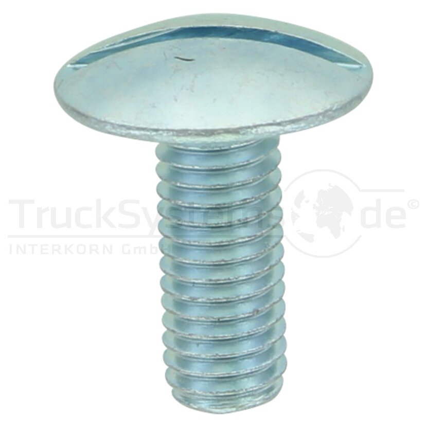 Fl-Rundschr,Schlitz,DIN88107,VZ,M08x020