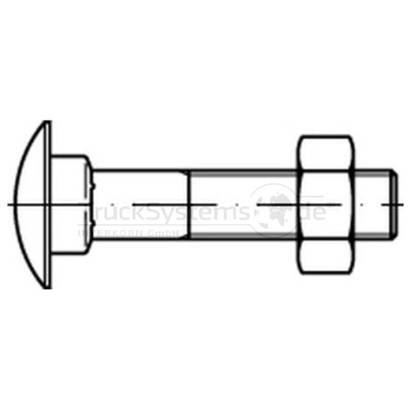 Schlossschr.DIN603,4.6,VZ,M06x050,VE1