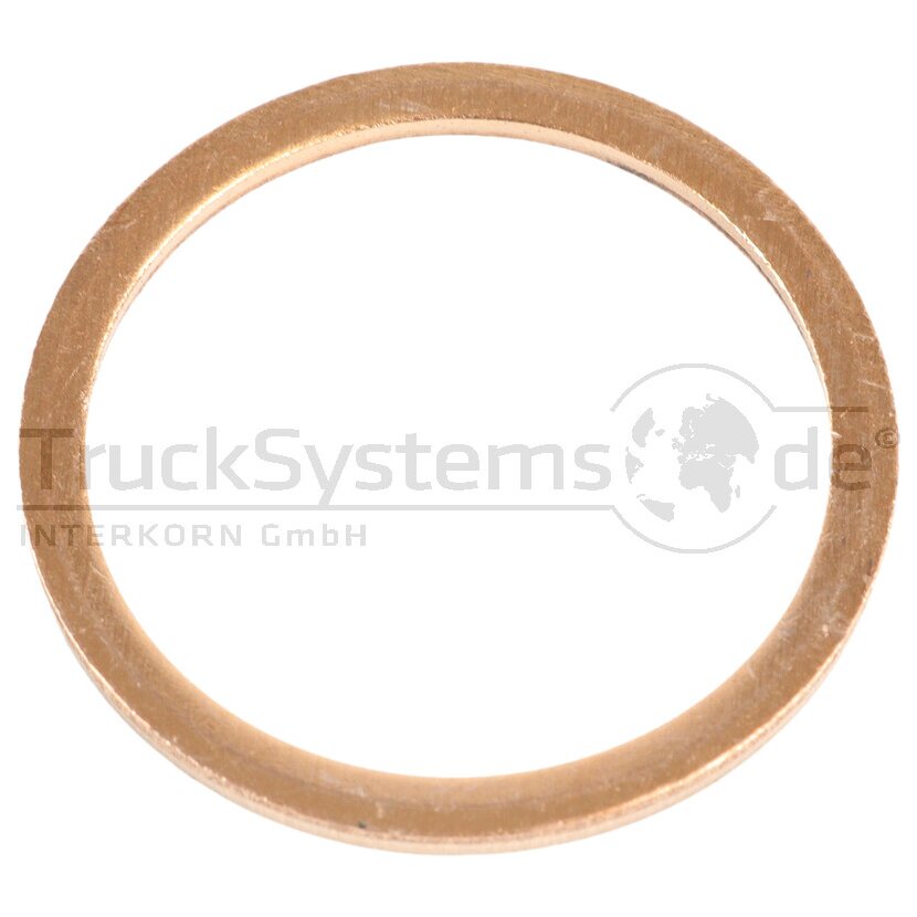 Kupferdichtring d: 24mm, D: 29mm, S:2mm